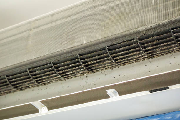 Best Air Duct Cleaning Company Near Me  in New Madrid, MO