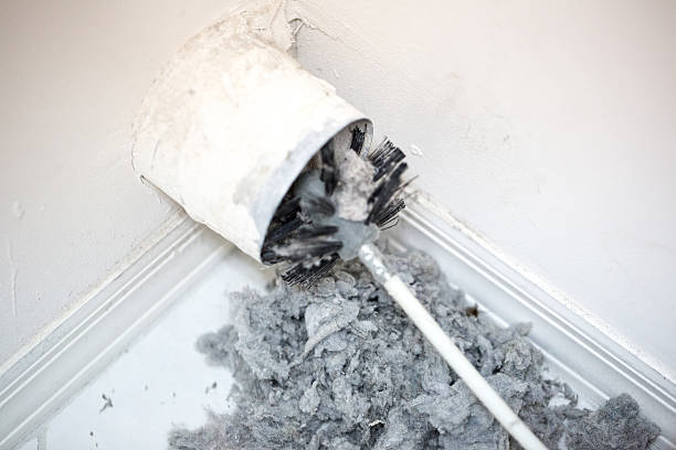 Best Affordable HVAC Duct Cleaning  in New Madrid, MO